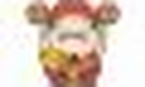 ָ(ָ)___1